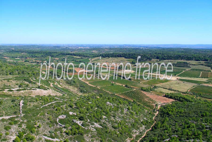 00vigne-languedoc-20-0806