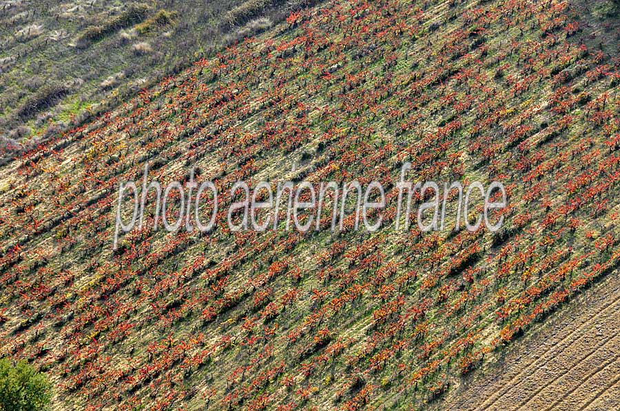 00vigne-languedoc-20-1009