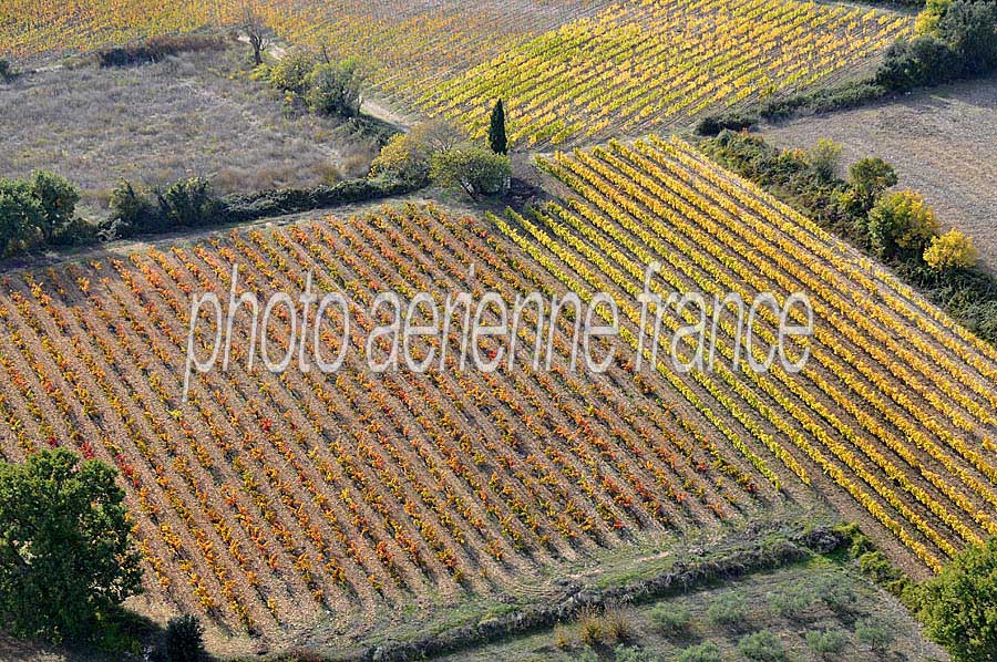 00vigne-languedoc-21-1009