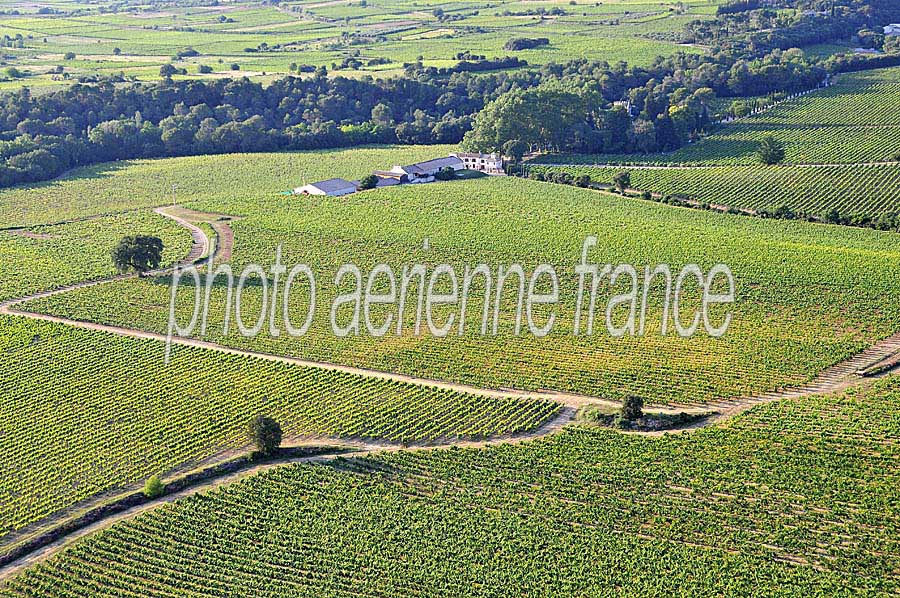 00vigne-languedoc-22-0608