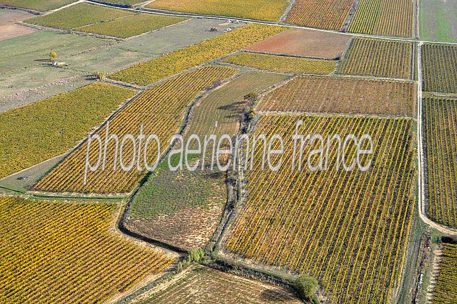 00vigne-languedoc-22-1009