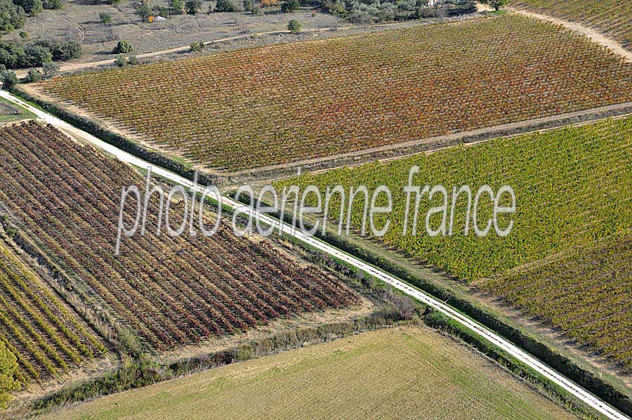 00vigne-languedoc-23-1009