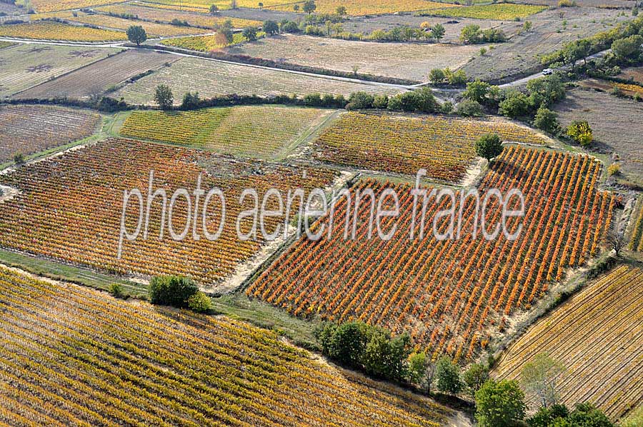 00vigne-languedoc-24-1009