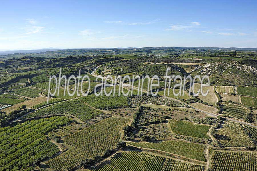 00vigne-languedoc-3-0912