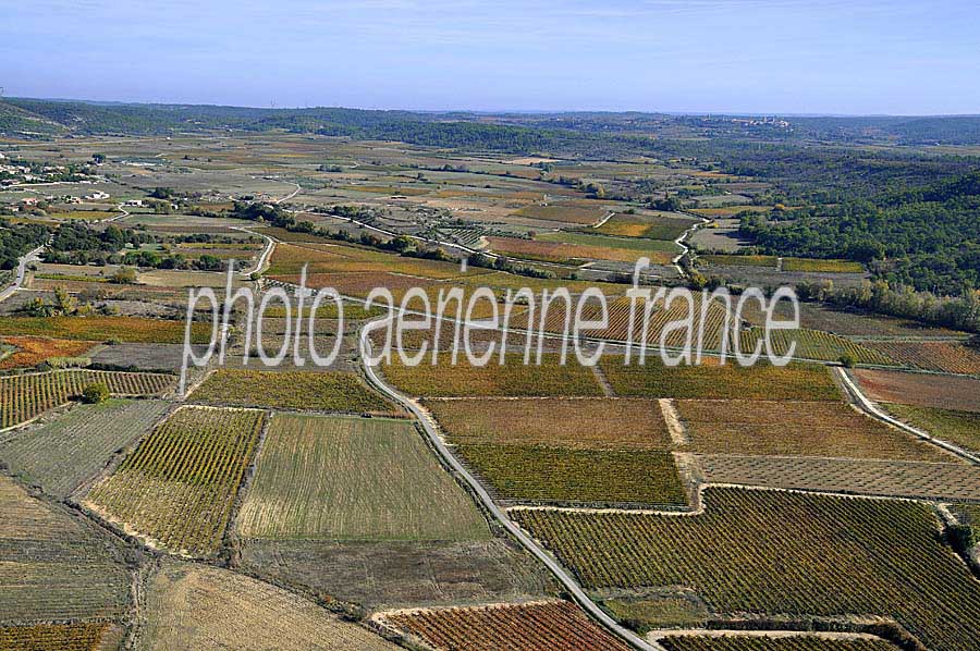 00vigne-languedoc-3-1009