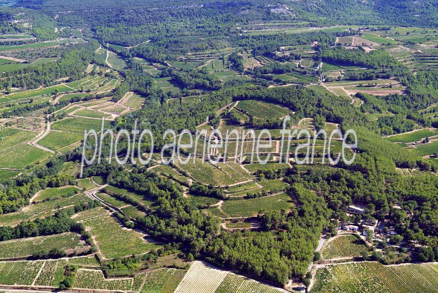 00vigne-languedoc-30-0806