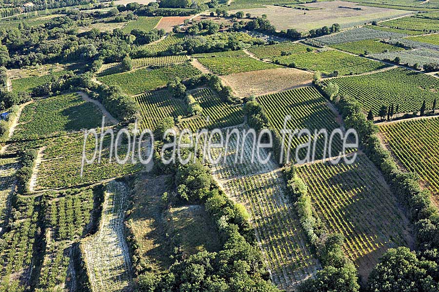 00vigne-languedoc-4-0912