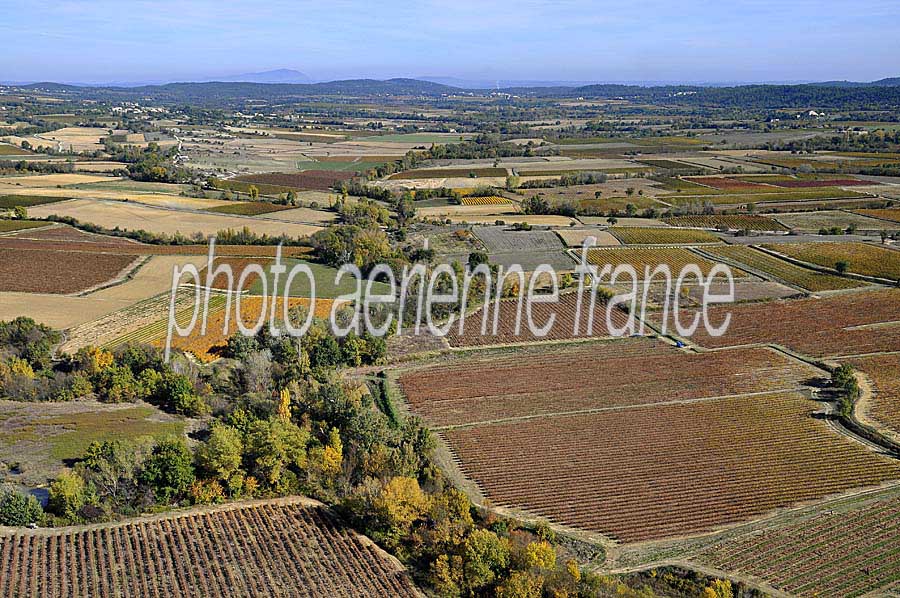 00vigne-languedoc-4-1009