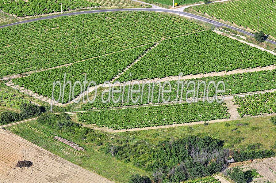 00vigne-languedoc-6-0608