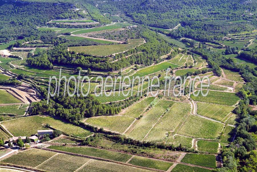 00vigne-languedoc-6-0806