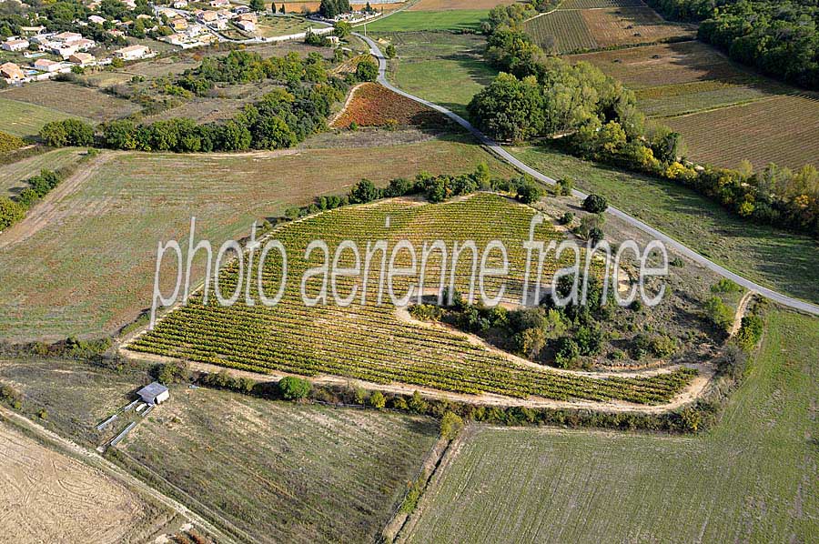 00vigne-languedoc-6-1009