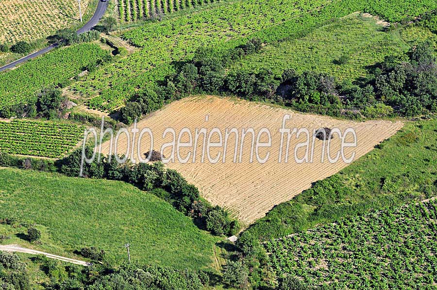 00vigne-languedoc-7-0608