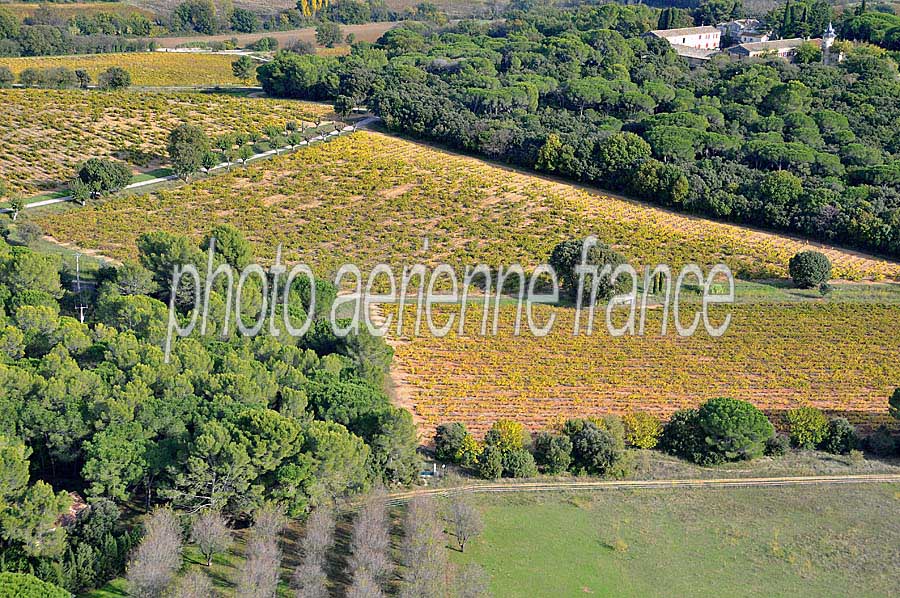 00vigne-languedoc-7-1009