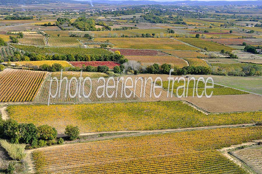 00vigne-languedoc-8-1009