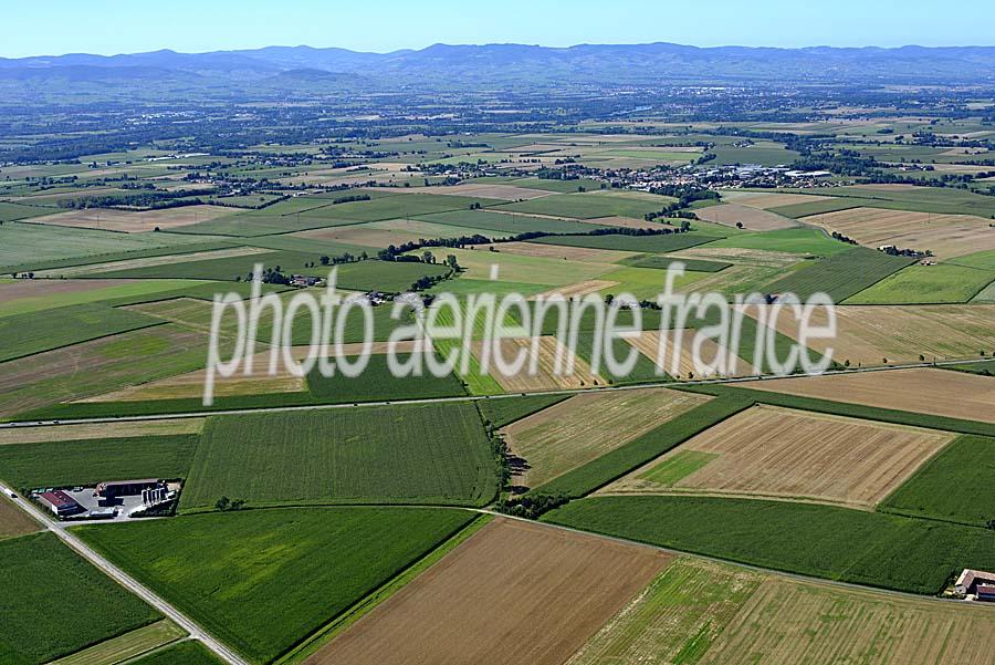 01agriculture-ain-1-0816