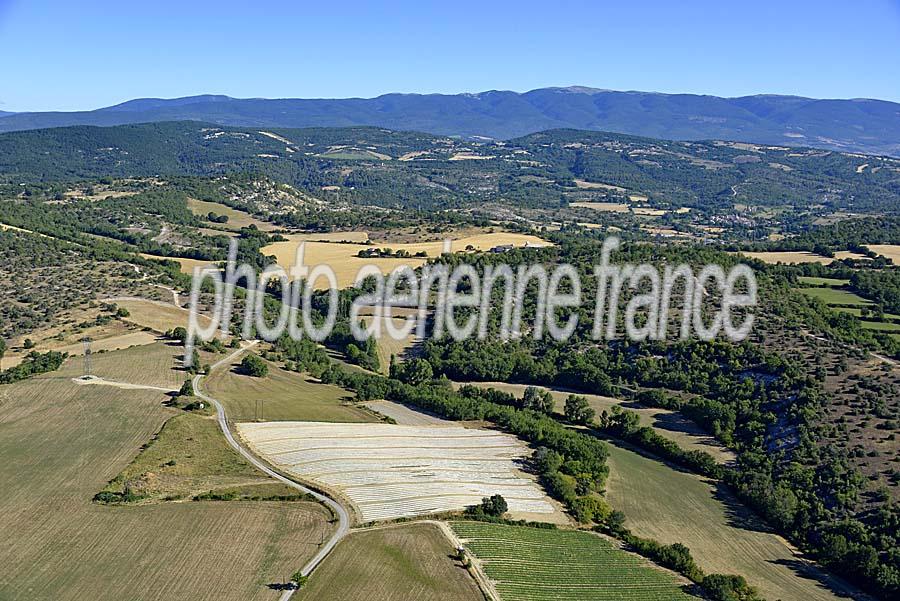 04agriculture-alpes-de-haute-provence-13-0717