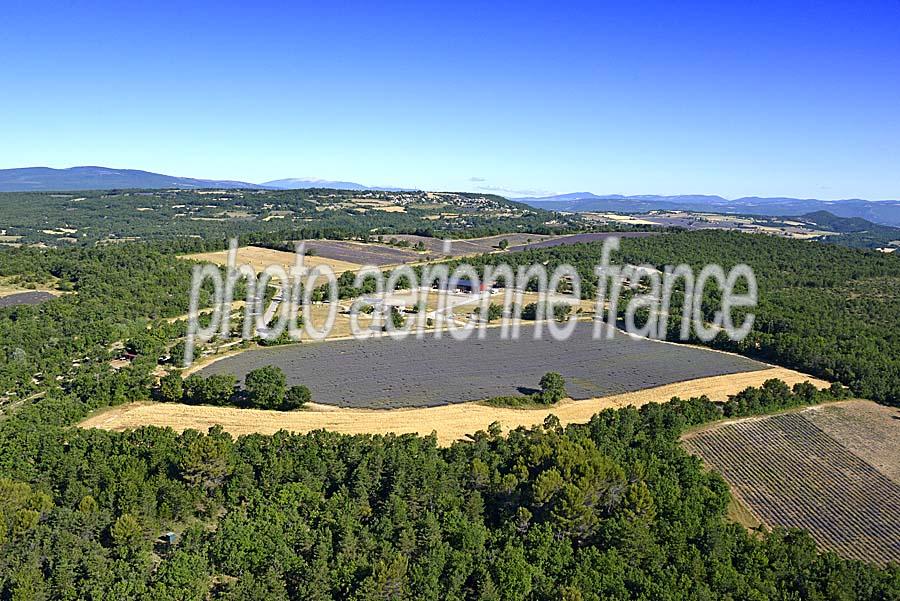 04agriculture-alpes-de-haute-provence-18-0717