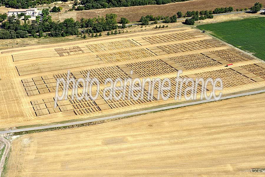 04agriculture-alpes-de-haute-provence-23-0717