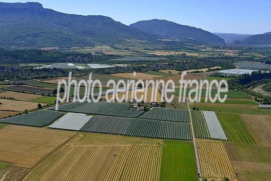 04agriculture-alpes-de-haute-provence-36-0717