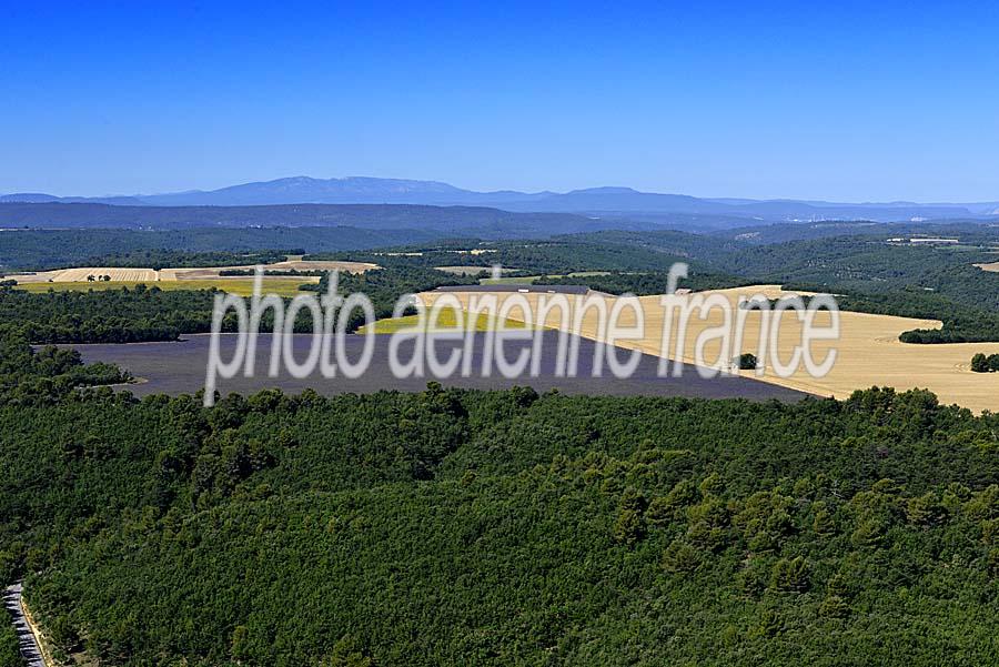 04plateau-valensole-1-0717