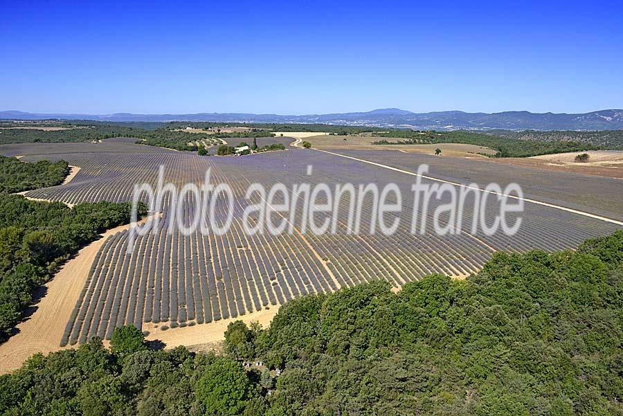 04plateau-valensole-11-0717