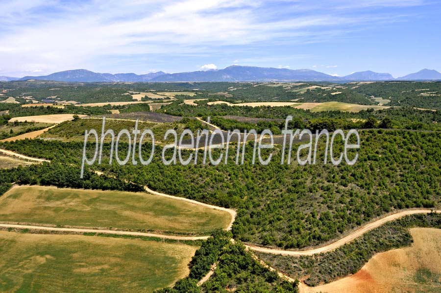 04plateau-valensole-12-0810