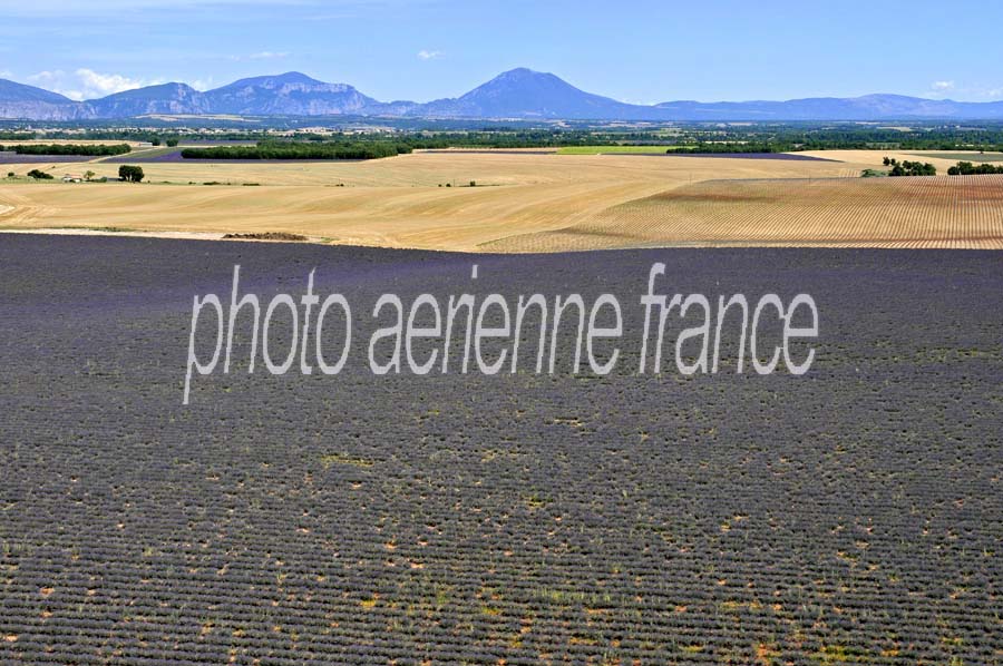 04plateau-valensole-14-0810