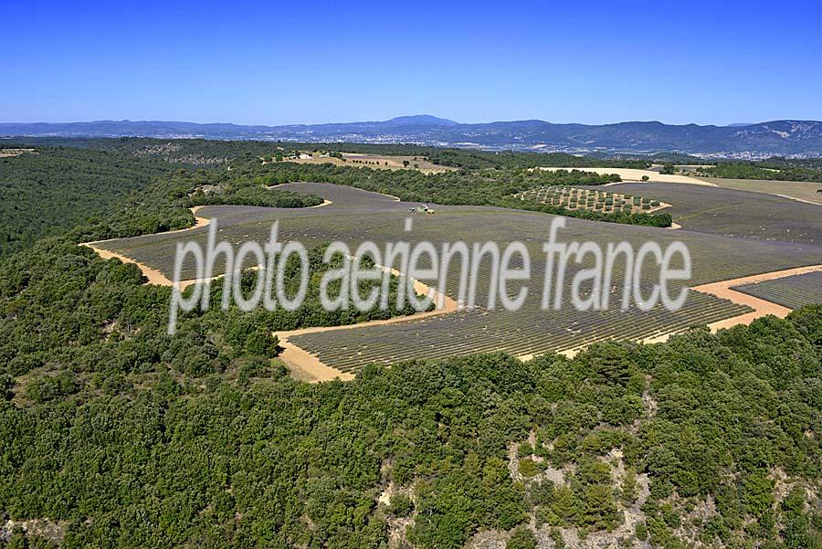 04plateau-valensole-15-0717