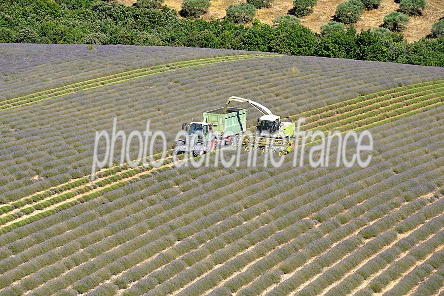 04plateau-valensole-17-0717