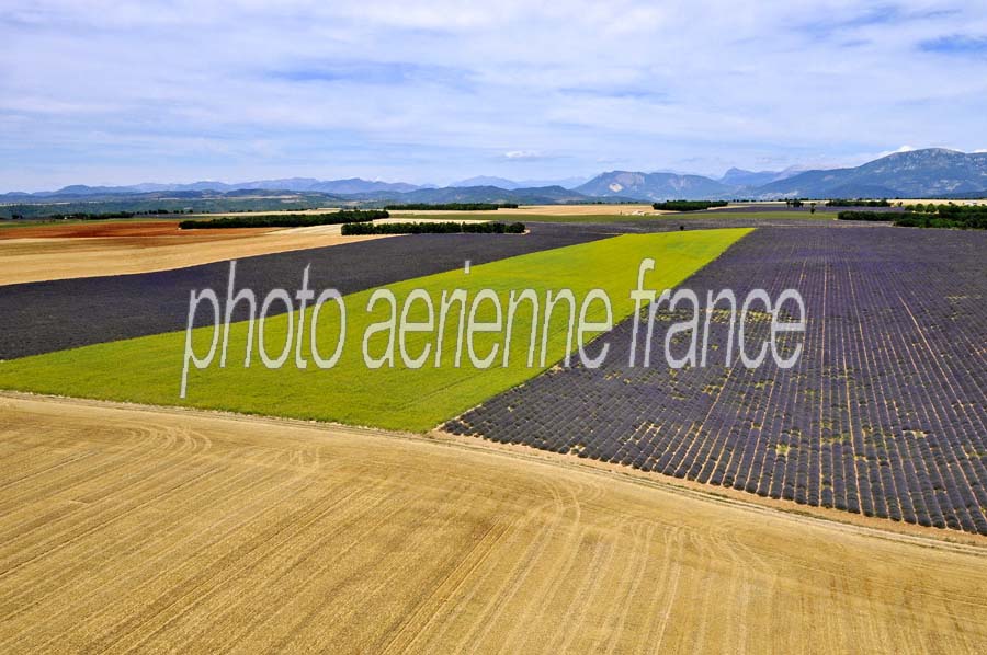 04plateau-valensole-17-0810