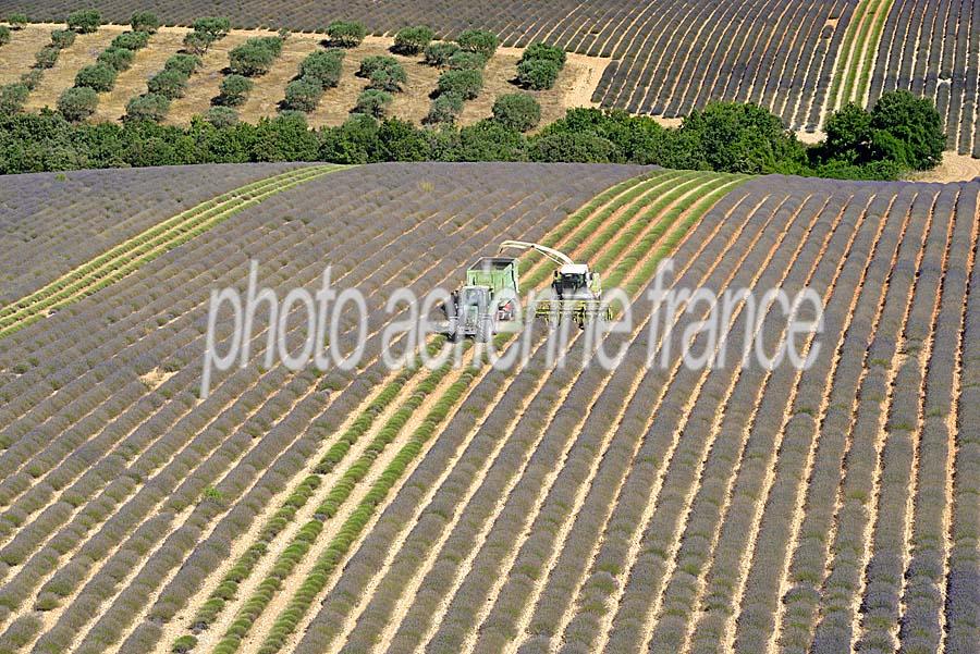 04plateau-valensole-18-0717