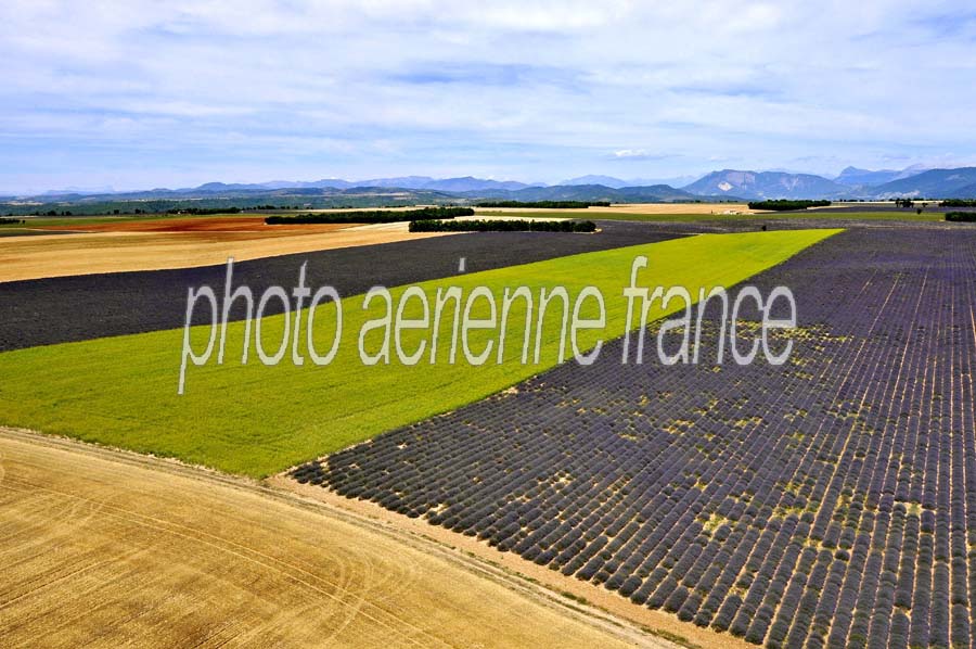 04plateau-valensole-18-0810