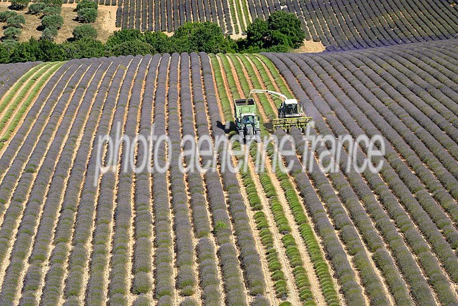 04plateau-valensole-19-0717