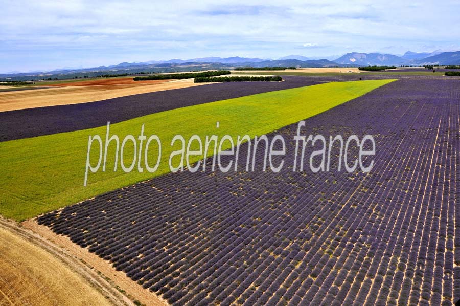 04plateau-valensole-19-0810