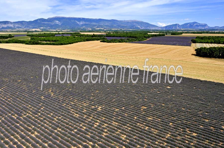 04plateau-valensole-20-0810