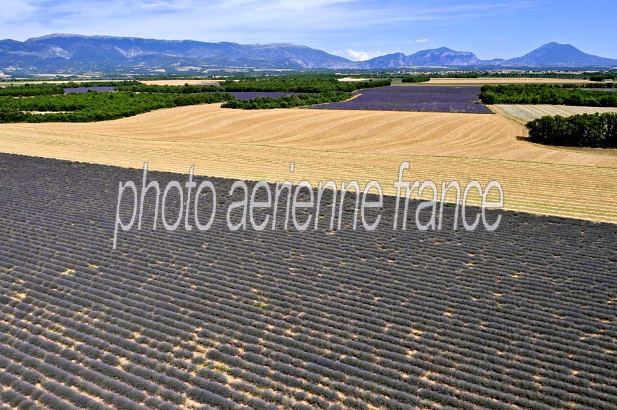 04plateau-valensole-21-0810