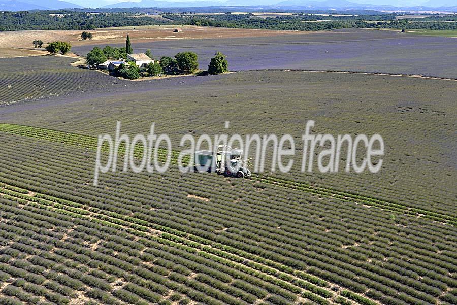 04plateau-valensole-22-0717