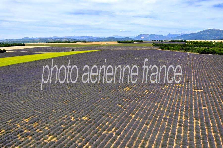 04plateau-valensole-22-0810