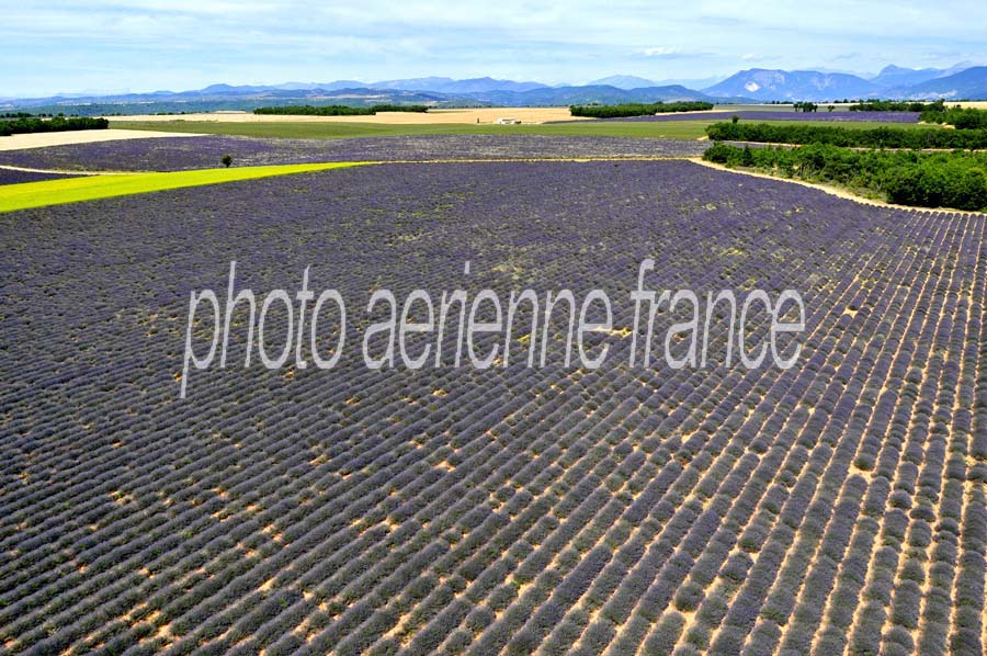 04plateau-valensole-24-0810