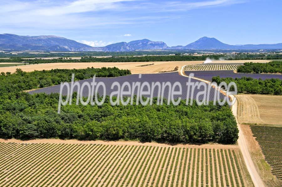 04plateau-valensole-26-0810