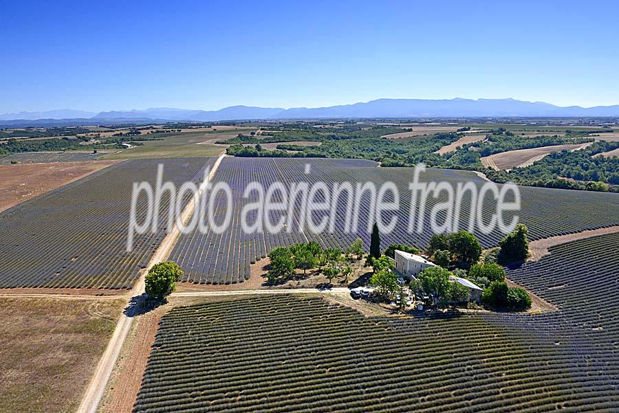 04plateau-valensole-27-0717