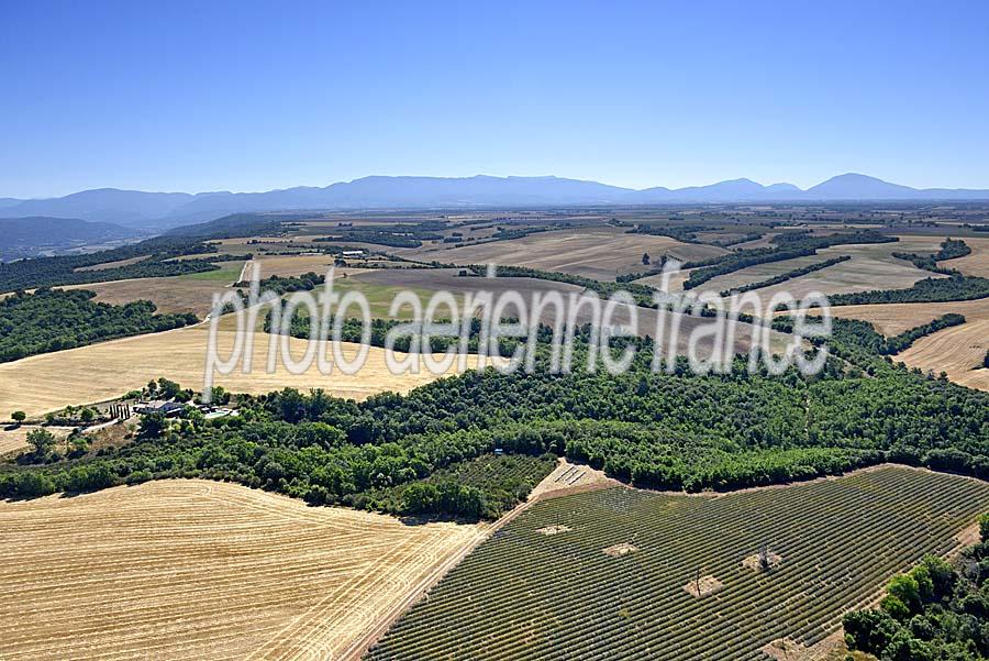 04plateau-valensole-31-0717