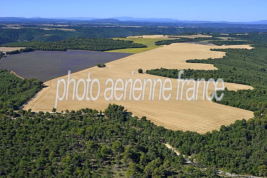 04plateau-valensole-4-0717