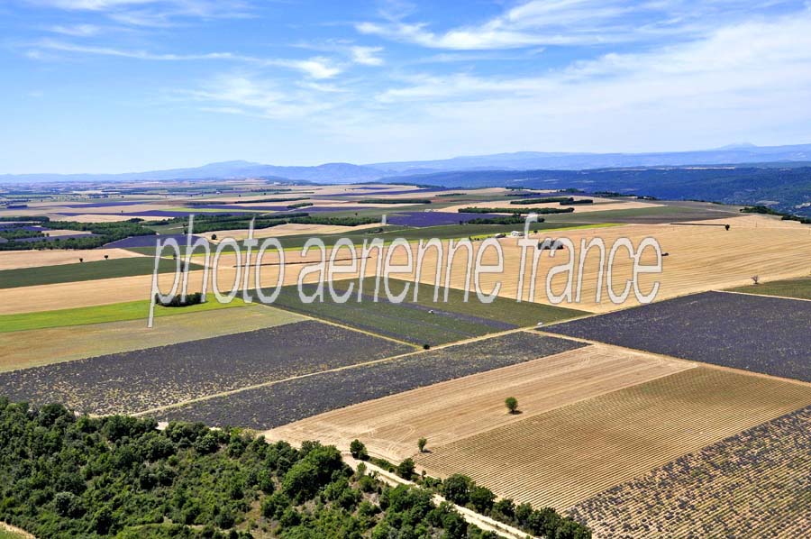 04plateau-valensole-4-0810