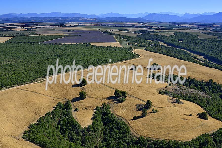 04plateau-valensole-5-0717