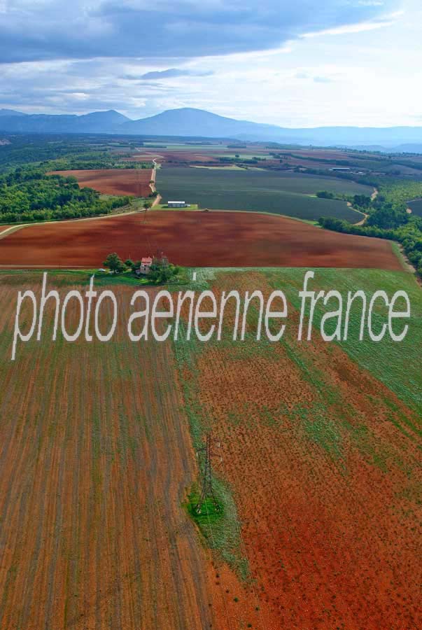 04plateau-valensole-5-1005