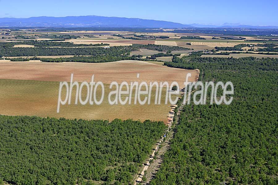 04plateau-valensole-6-0717