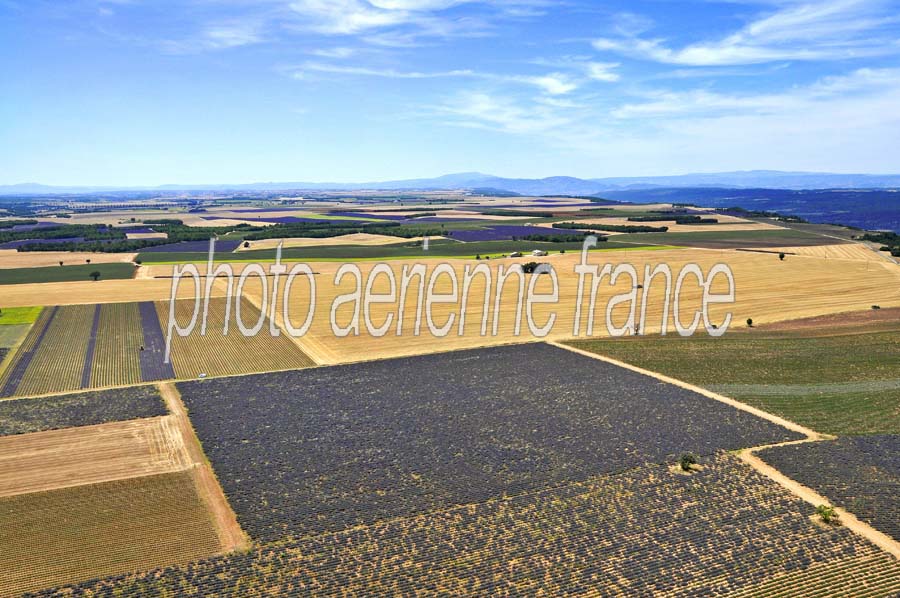 04plateau-valensole-6-0810