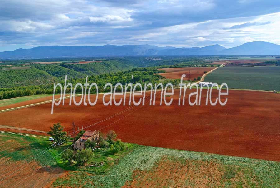 04plateau-valensole-6-1005