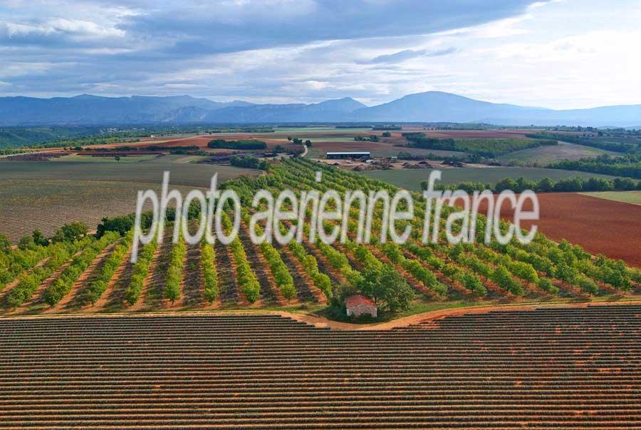 04plateau-valensole-7-1005